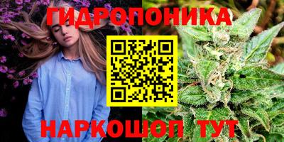мескалин Камышлов