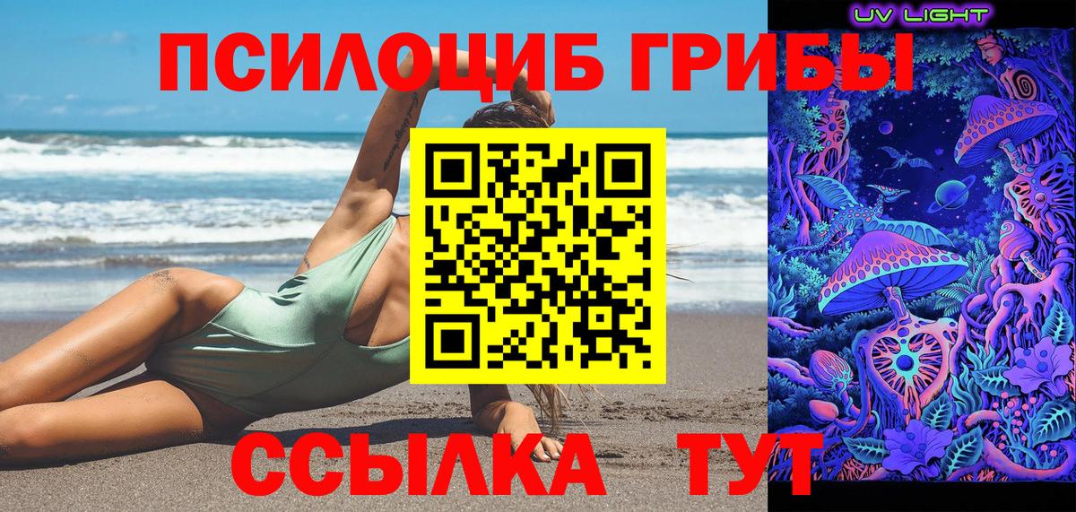 Карабулак  Псилоцибиновые грибы Cubensis  Вход с VPN  Псилоцибиновые грибы Cubensis 